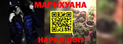 шишки Донской