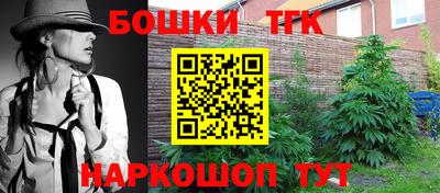 шишки Донской