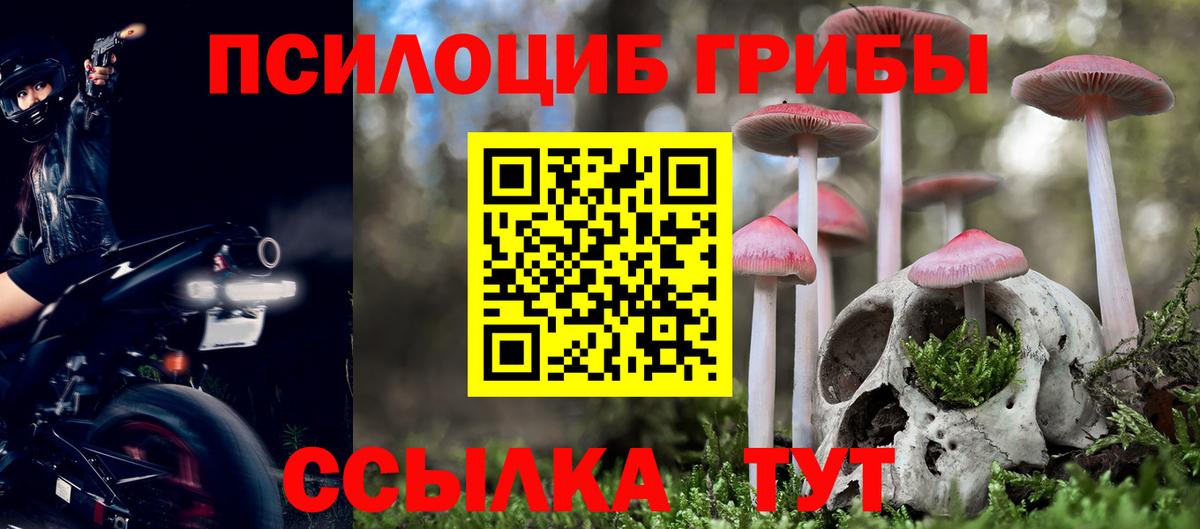 Псилоцибиновые грибы Psilocybe  Вход с VPN  Псилоцибиновые грибы GOLDEN TEACHER  Менделеевск 