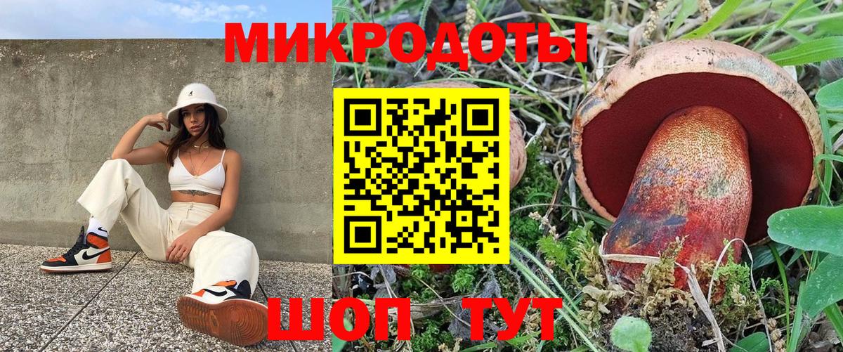 Псилоцибиновые грибы Cubensis Менделеевск