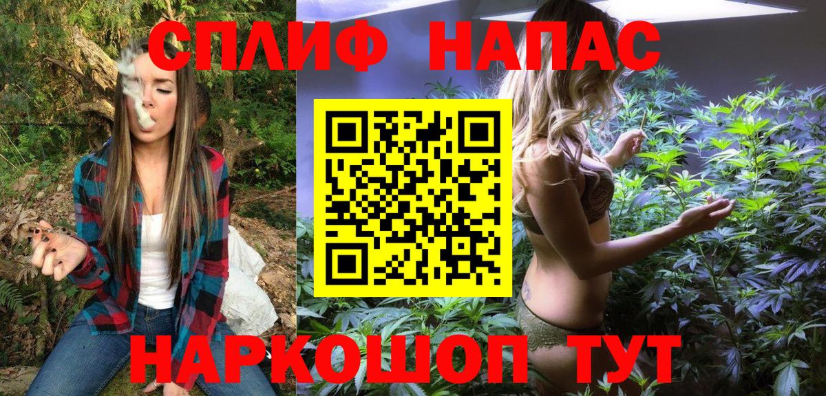 Канабис сатива Менделеевск